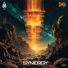 M99022 Sinergy WEB